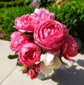 Róża Gartenprinzessin Marie José