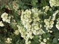 IMG_2941.jpeg