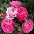 julie_03_1024x1024.jpg