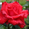 1faa796f593e39ce0dca04212b3e1b2efbe36f47